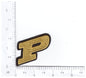 Sport university team college logo patches