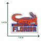 football team Sport University florida Patch - Clpatch