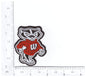 Sport university team college logo patches